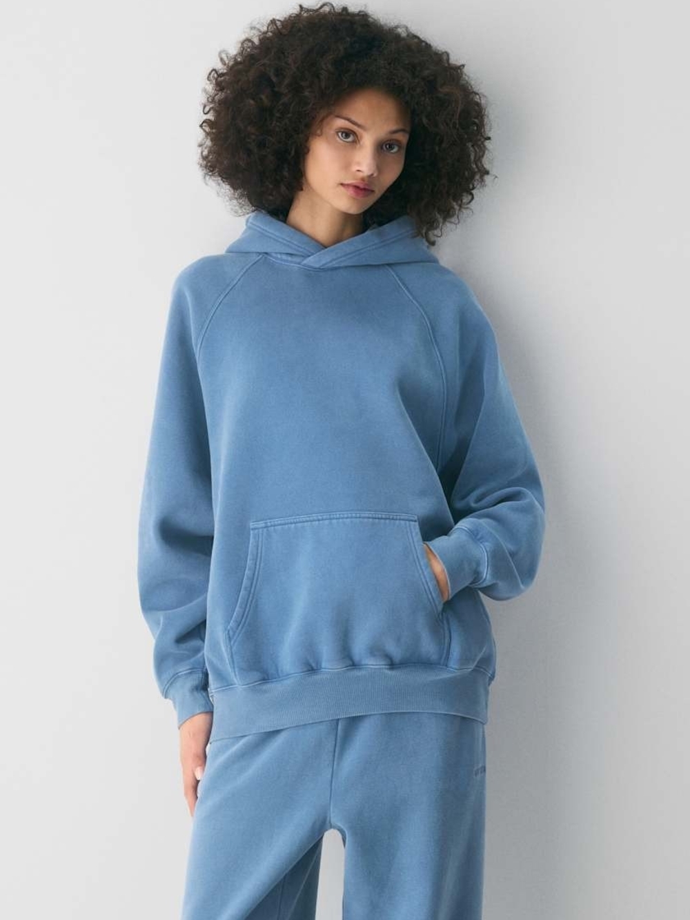 Aritzia Hoodie Mega Raglan